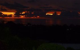 Flamboyant Ocean View - Ex Hillside Haven